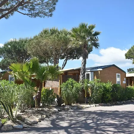 Sas Robrecht Campsite *
