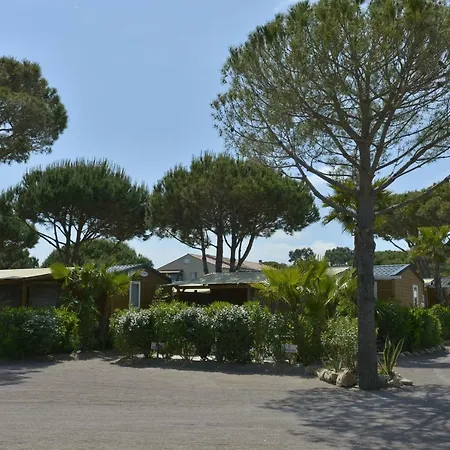 Campsite Sas Robrecht Saint-Tropez