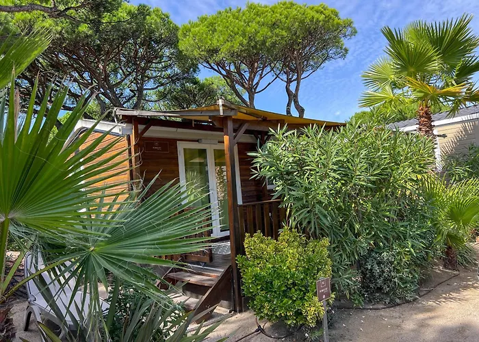 Camping Sas Robrecht Saint-Tropez