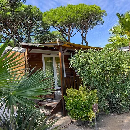 Campeggio Sas Robrecht Saint-Tropez