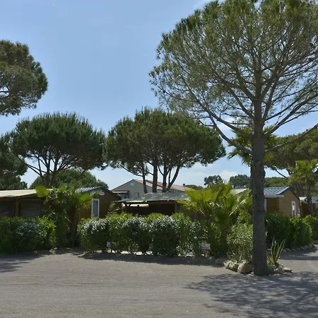 Campingplads Sas Robrecht Saint-Tropez