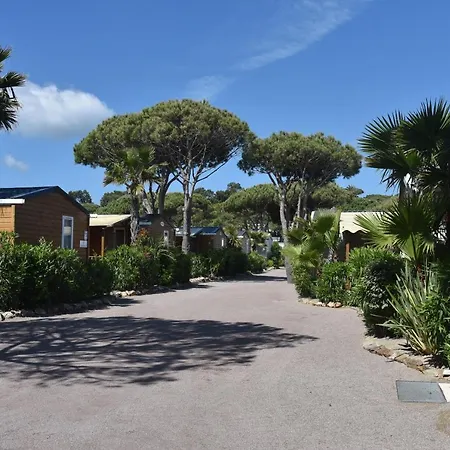 Sas Robrecht Saint Tropez